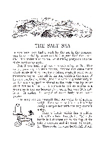 saltsea